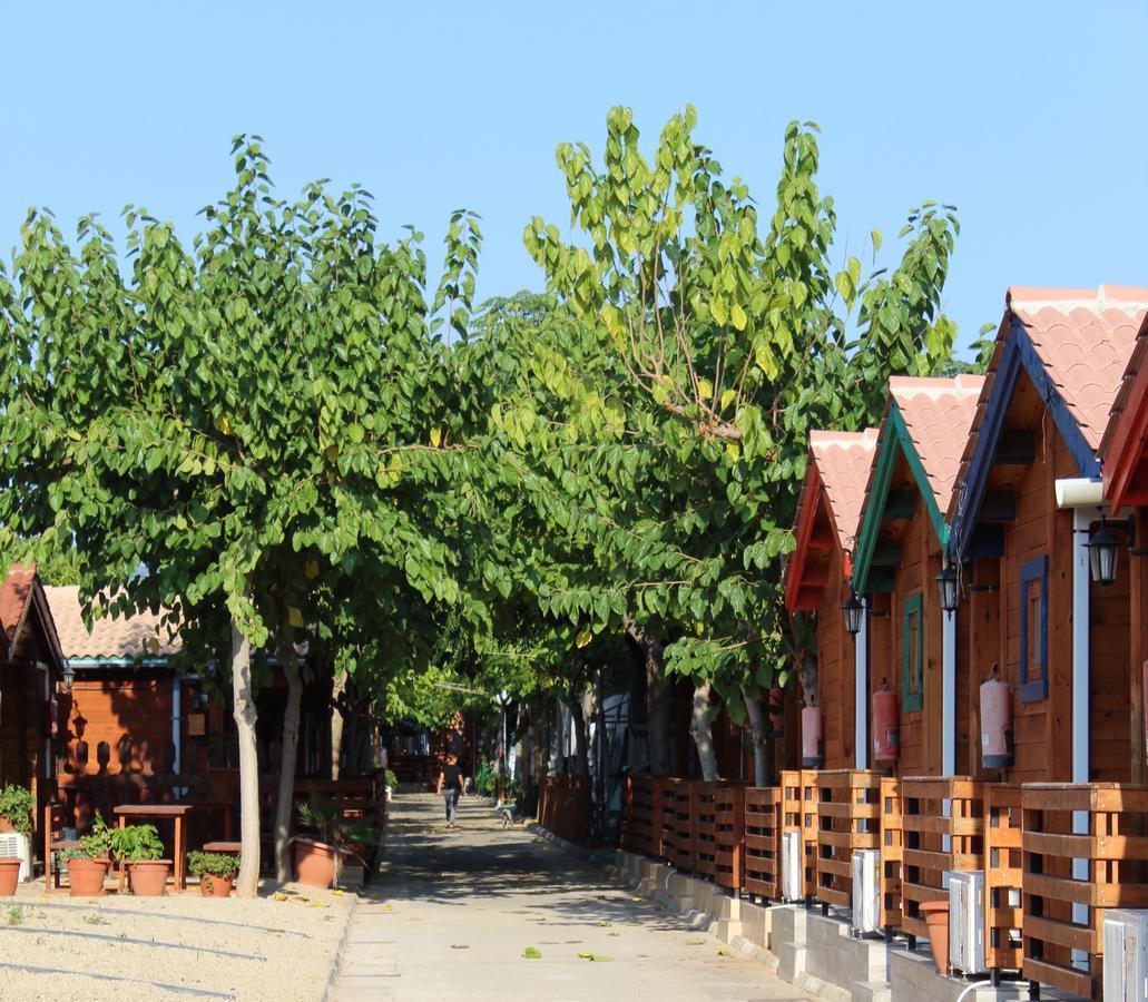 Camping & Bungalows Oasis Oropesa del Mar Εξωτερικό φωτογραφία